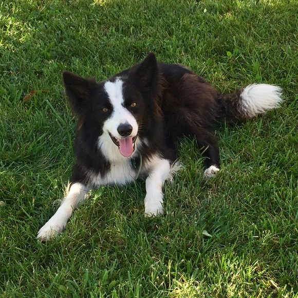 Meet your Posher, Crystal - Picture 4 of 4